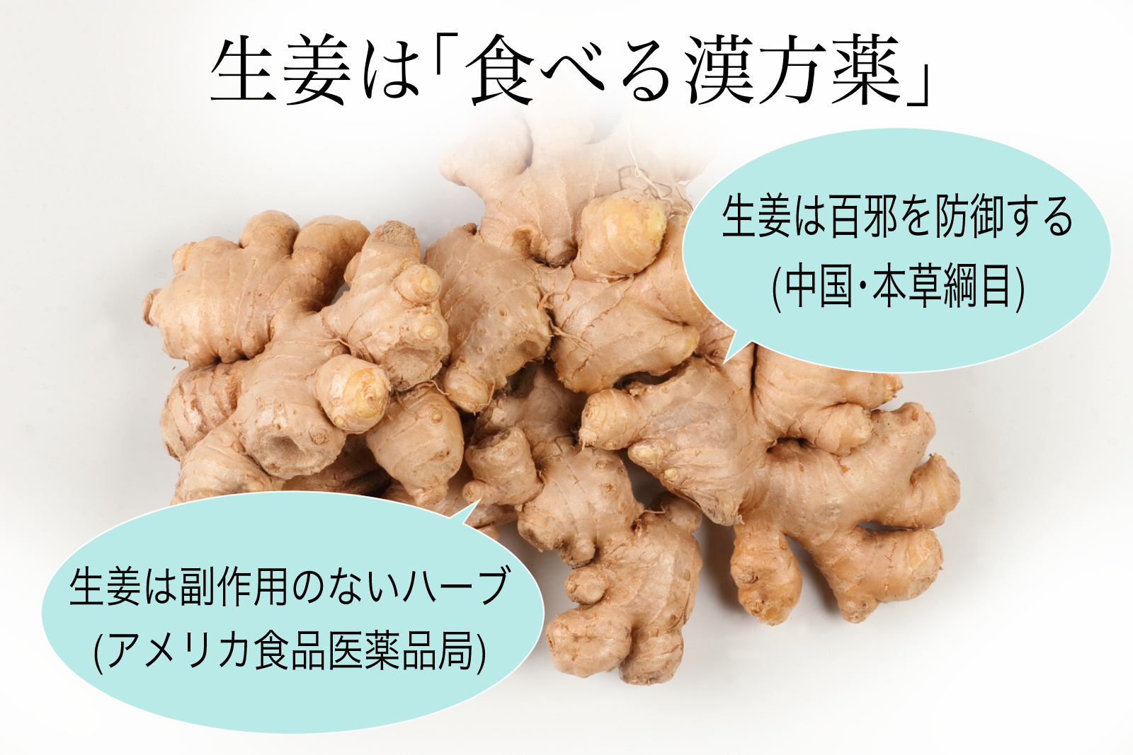生姜は食べる漢方薬